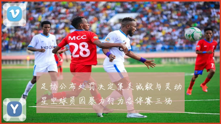足协公布处罚决定集美诚毅与灵动星空球员因暴力行为各停赛三场