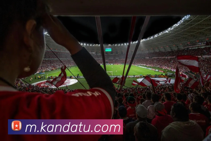 互动解说服务